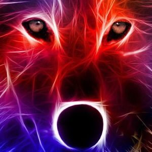 Meet your Posher, Fd joey